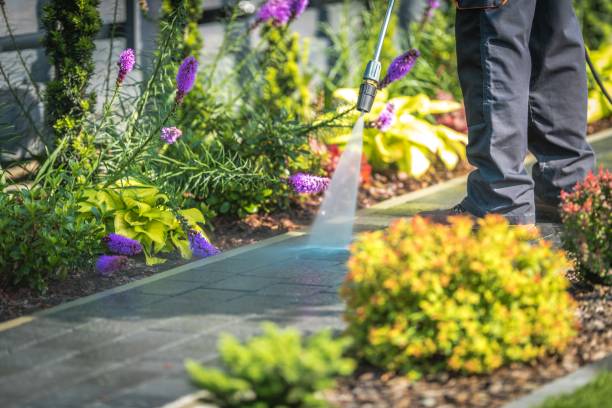 Best Brick and Stone Cleaning in Belle, MO