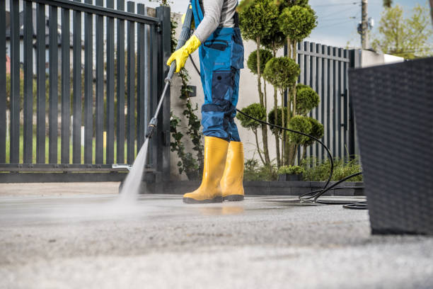 Best Soft Washing for Delicate Surfaces in Belle, MO